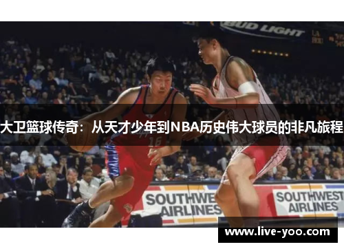 大卫篮球传奇:从天才少年到NBA历史伟大球员的非凡旅程