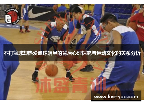 不打篮球却热爱篮球明星的背后心理探究与运动文化的关系分析