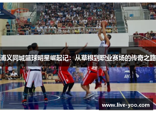 浦义同城篮球明星崛起记：从草根到职业赛场的传奇之路