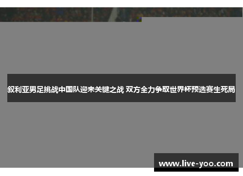 叙利亚男足挑战中国队迎来关键之战 双方全力争取世界杯预选赛生死局