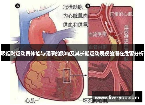 吸烟对运动员体能与健康的影响及其长期运动表现的潜在危害分析