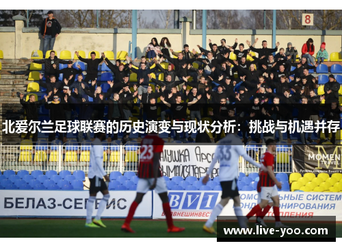 北爱尔兰足球联赛的历史演变与现状分析:挑战与机遇并存