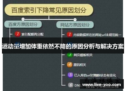 运动量增加体重依然不降的原因分析与解决方案