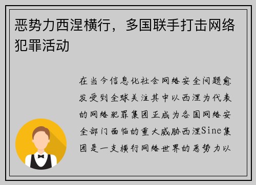 恶势力西涅横行，多国联手打击网络犯罪活动